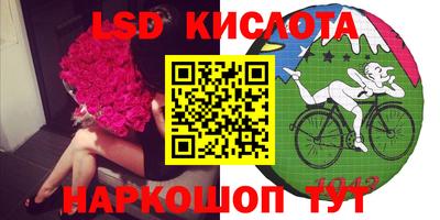 прущие грибы Моздок