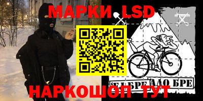 прущие грибы Моздок