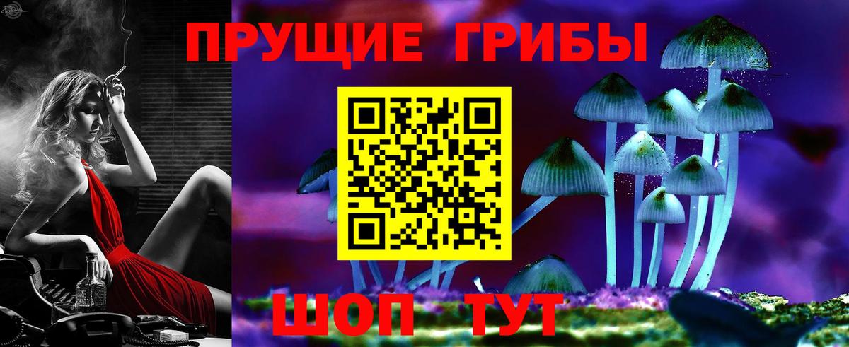 Псилоцибиновые грибы MAGIC MUSHROOMS Урюпинск